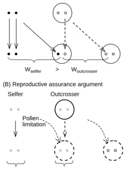 Fig. 1. Two principles for the advantages of self-fertilization.