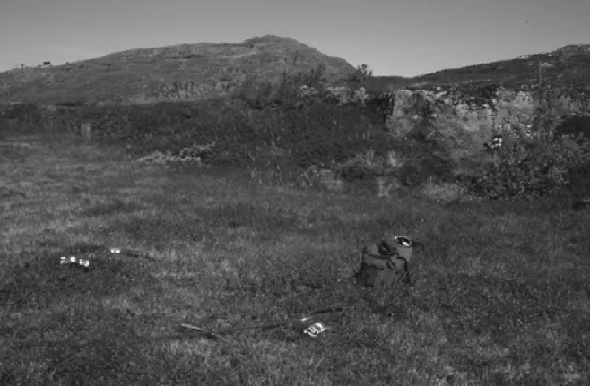 Figure 3. The sampling site on Totthummeln. In the background mount Åreskutan. 