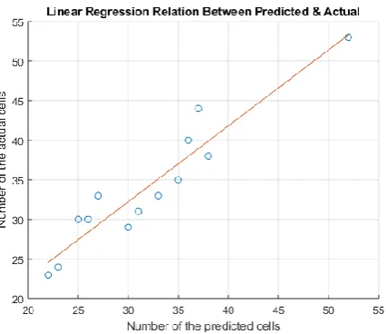 Figure 12. An example of white blood cell classification in dataset 2. 