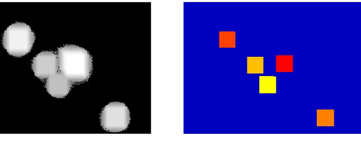 Figure 7. Propagating maxima and segmented of clumped cells in the image. 