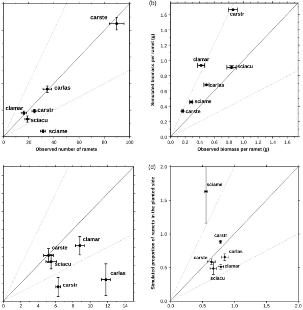 Fig. 2. Comparison of the simulated performance of the final trait combination of individual species with the observed performance in the validation experiment
