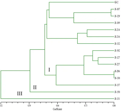 Fig. No.1.    Dendrogram based on euclidean distance matrix showing genetic relationship among Plantago 