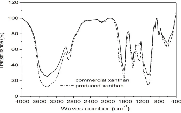 Fig. 6. FT-IR spectrum of xanthan gum samples in KBr pellets for CX and PX 
