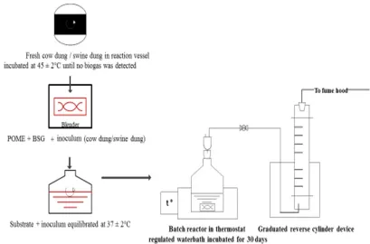 Fig. 1. Experimental set-up/design 