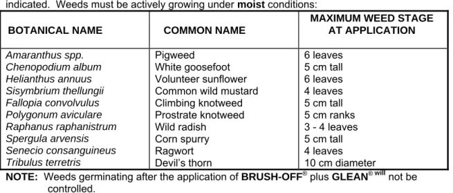 Table 3: WEEDS CONTROLLED IN THE SUMMER RAINFALL REGION: 10 g BRUSH                  OFF ®  plus 10g GLEAN ®  - refer to APPLICATION TABLE B
