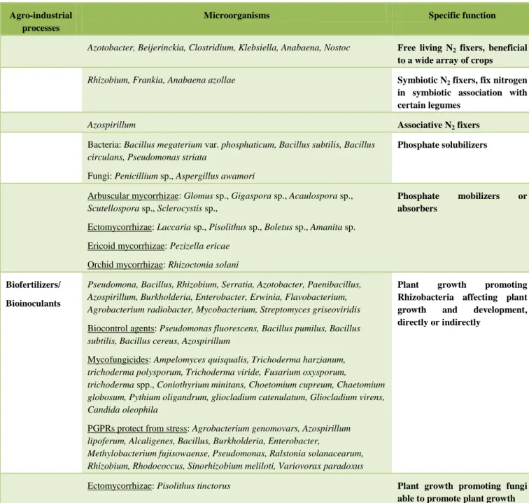 Table 1. Microorganisms and their specific functions in agro-industrial processes  