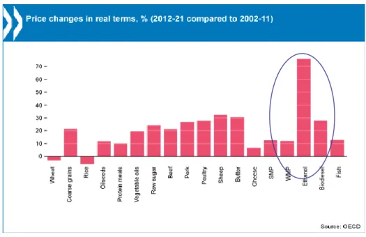 Figure 9. Estimated change in prices of bio-ethanol and bio-diesel between the forthcoming and the  previous decade (Source: OECD)