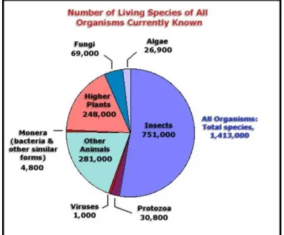 Figure  12.  Number  of  currently  known  living  species  of  all  organisms  (http://www.globalchange.umich.edu/globalchange2/current/lectures/biodiversity/biodiversity.html)