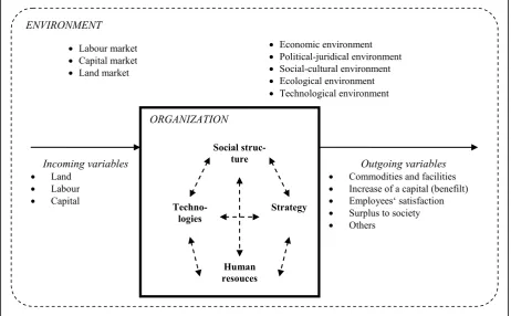 Figure 5. Inside and outside structure of organization as a system (made by authors)