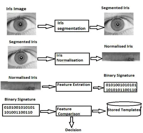 Fig. 1. Working flow of Iris Recognition System  