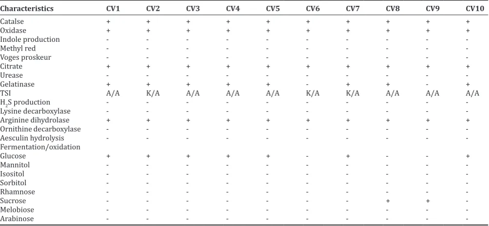 Table 1: Pigment producing bacteria isolated from the different sources