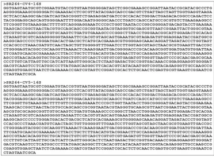 Fig. 1: Violacein production by the ten different isolates