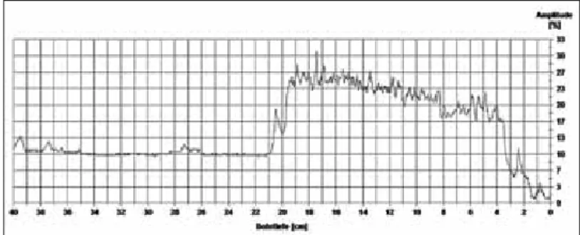Figure 1. RESISTOGRAPH ®  4453-P (RINNTECH) profile. This is a mirror- mirror-inverted display to ease comparability with the IML-RESI profile in Figure 2.
