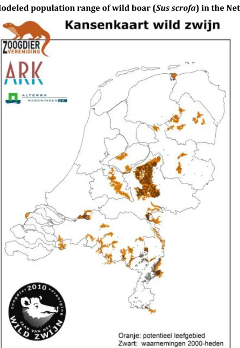 Figure 8 Modeled population range of wild boar (Sus scrofa) in the Netherlands in  orange