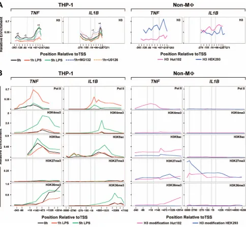 Figure 3. Nucleosome positioning dynamics and modifications during IL1BandChIP for histone modifications ateach gene, permitting comparative localization
