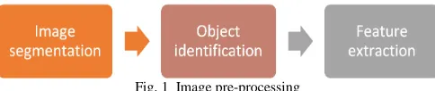 Fig. 1  Image pre-processing 