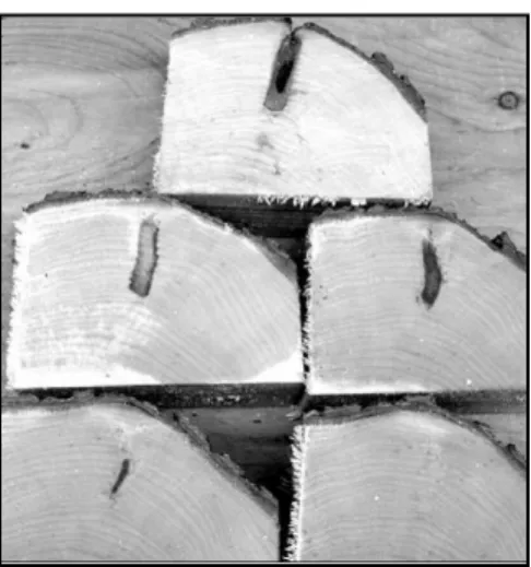 Figure 2. Relationship between vacu- vacu-um and sap yield. Each circle  repre-sents the average of 5 trees.