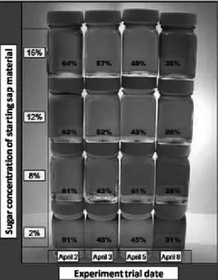 Figure 3. Samples of maple syrup produced simultane- simultane-ously from sap at four sugar concentration levels (2, 8, 12,  and 15%) during 4 experiment trials