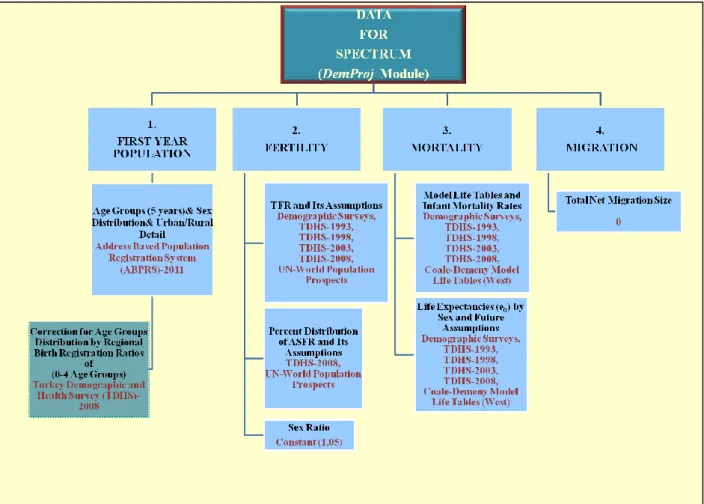 Figure 1. Data sources and algorithm of the assumptions  Our fertility (TFR) scenarios are: 