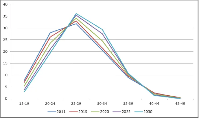 Figure 3. ASFR assumptions 