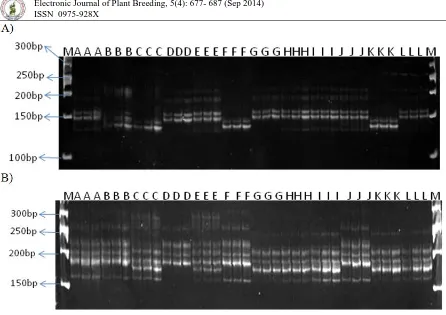 Figure 1: DNA profiles of groundnut cultivars with SSR markers A) IPAHM 23 and B) PM377  where M: 50bp ladder; A: Abhaya; B: Kalahasthi; C: Dharani; D: Greeshma; E: Prasuna; F: Bheema; G: Narayani H: Tirupati-4; I: Rohini; J: Tirupati-3; K: Tirupati-1 and L: Tirupati-2 