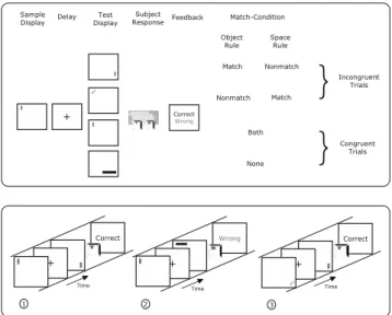 Fig. 1 Setup of the “Wisconsin Delayed-Matching-to-Sample”