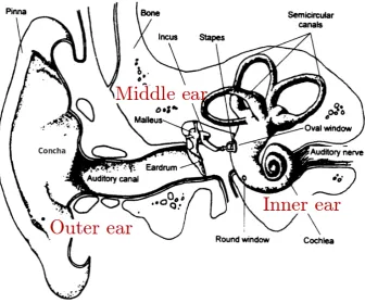 Figure 2.1: Structure of the outer, middle and inner ear. Adapted from Moore (2013).