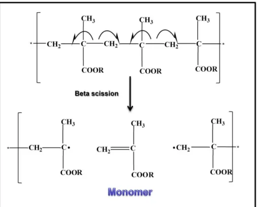 Figure A1-3 Monomer reversion mechanism (from Ref. [3]) 