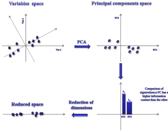Figure A2-7 Geometric interpretation of PCA 