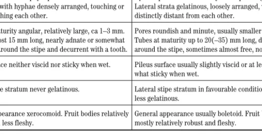 Tab. 1. Differences between Xerocomus s. str. and Boletus.