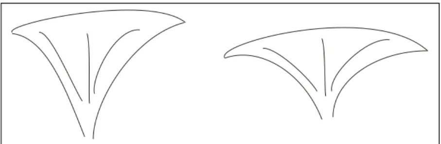 Figure 4. Funnel (left) and shell  (right) shape of oyster 