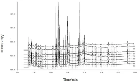 Fig. 1  The GC-MS fingerprint of volatile components of Pu'er raw tea for different ages and batches  7542 samples ( Note: bottom-up volumes followed by 504,505,606,608,703,801,810,901,912,R