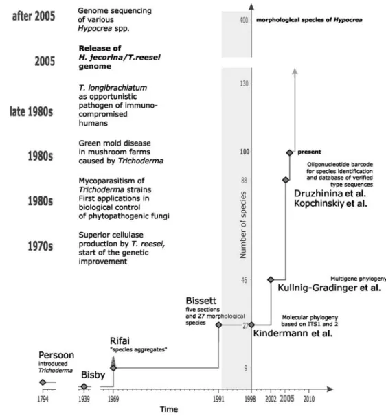 Fig. 1. Development of Trichoderma spp. taxonomy before and after methods of molecular phylogenetics were introduced