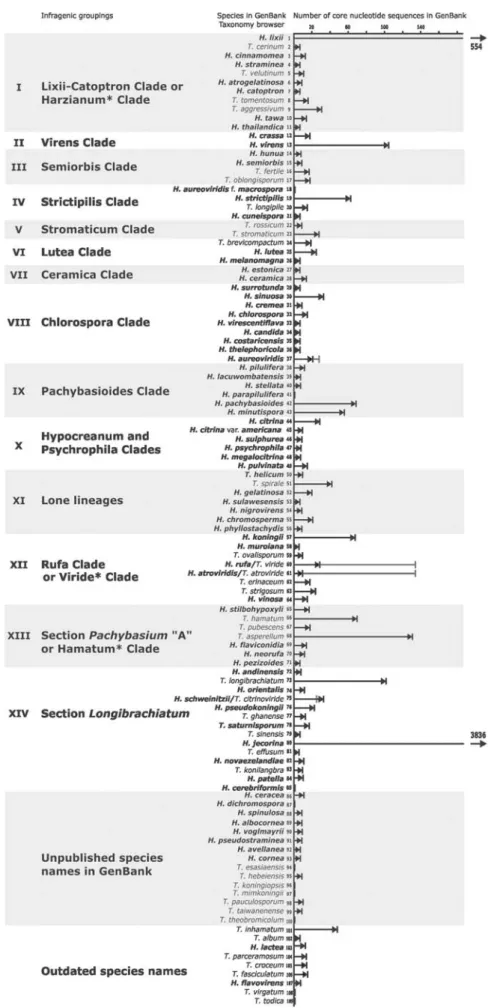 Fig. 2. Hypocrea/Trichoderma species names and number of their core gene sequences deposited in NCBI GenBank and Taxonomy browser