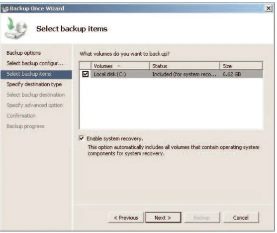 Figure 1. Windows Server Backup wizard.