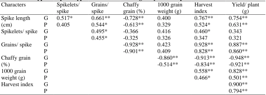 Table 5. Genotypic and phenotypic correlation between grain yield and spike characters of wheat  Characters 