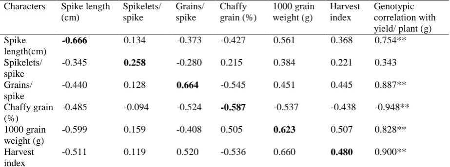 Table 6. Path coefficient analysis matrix of direct (diagonal) and indirect (off-diagonal) effects                 of spike characters on grain yield in wheat