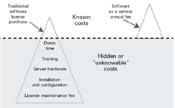 Figure 3. The hidden costs of enterprise software 9