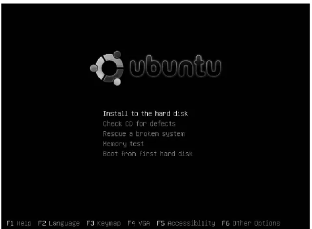 Figure 1-1. In many situations, you just have to press the Enter key to start the installation.