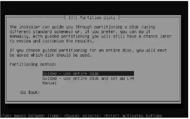 Figure 1-10.You have three choices for configuring your server’s hard disk.