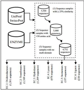 Fig. 2. Steps of dataset preprocessing 