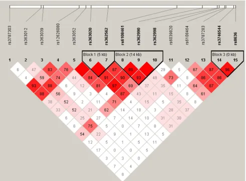 Table 2. Haplotype analysis of SNAP25 SNPs in ADHD nuclearfamilies.
