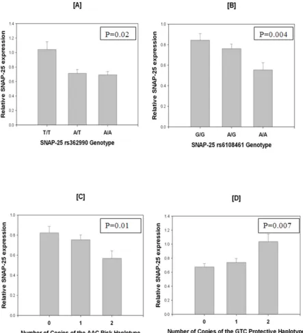 Figure 2. Relative expression of SNAP25 in non- pathological samples. A and B show decreased expression with ADHD associated alleles; Cand D show the level of expression relative to ADHD risk and protective haplotypes respectively