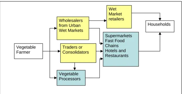 Figure 1: The Filipino vegetable supply chain 