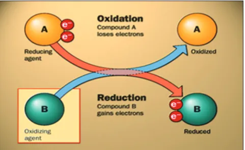 Fig. 2: Electrons in the outer shell