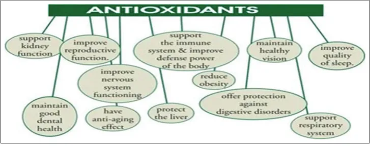 Fig. 3: Role of antioxidants
