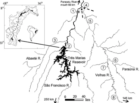 Figure 1. Map of the Sa˜o Francisco and Velhas rivers upstream the ichthyoplankton sampling sites (dashed arrows)