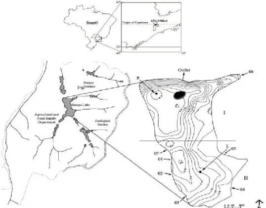 Figure 1:  Study area (Garças Lake, São Paulo, Brazil) with batimetric map; Compartments I and II of the lake; L and P stations for water sampling; 01 to 07 inputs for incoming loads.