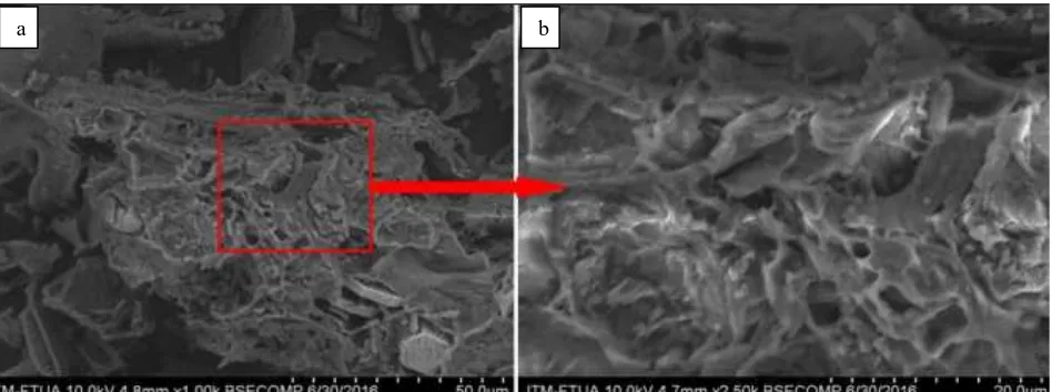 Fig. 7  SEM photos adsorbent ACHJ without activation (control) (a) magnification of 1000x (b) magnification 2500x   