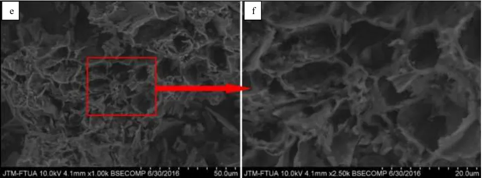 Fig. 9  SEM photos adsorbent with activator ACHJ at HCl 0.1 M. (e)  magnification 1000x (f) magnification 2500x  